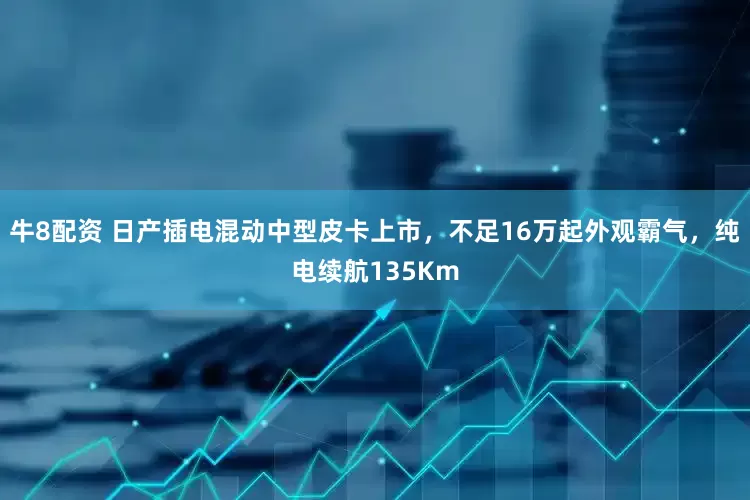 牛8配资 日产插电混动中型皮卡上市，不足16万起外观霸气，纯电续航135Km