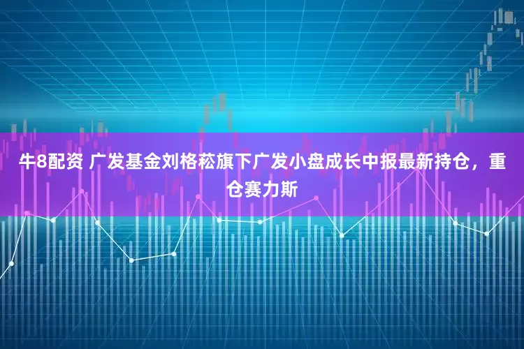 牛8配资 广发基金刘格菘旗下广发小盘成长中报最新持仓，重仓赛力斯
