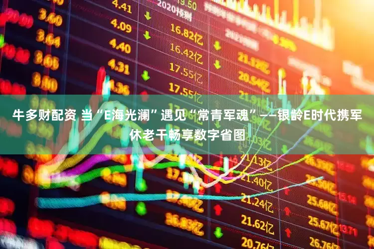 牛多财配资 当“E海光澜”遇见“常青军魂”——银龄E时代携军休老干畅享数字省图
