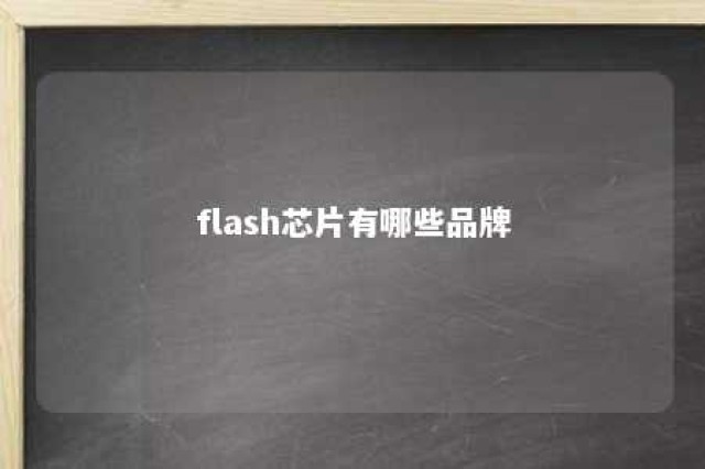 flash芯片有哪些品牌 